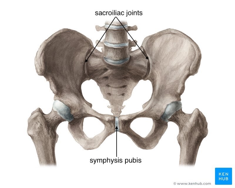 joints affected during pregnancy